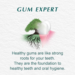 Himalaya Mint Fresh Herbal Toothpaste Prevent Mouth Odor & Ensure Long-Lasting Fresh Breath -3 X 100ml