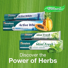 Himalaya Mint Fresh Herbal Toothpaste Prevent Mouth Odor & Ensure Long-Lasting Fresh Breath -3 X 100ml