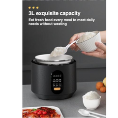 ZOLELE EP301 Multifunctional Electric Pressure Cooker Smart and Convenient 3L Capacity Timer Rice Cooker Digital Display With 10 Preset Cooking Functions, Keep Warm Function & Automatic Shut-Off-Black