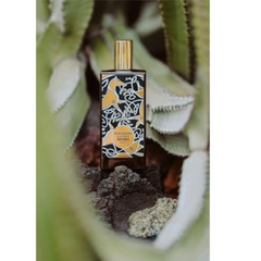Irish Leather By Memo For Unisex - Eau De Parfum, 75 Ml