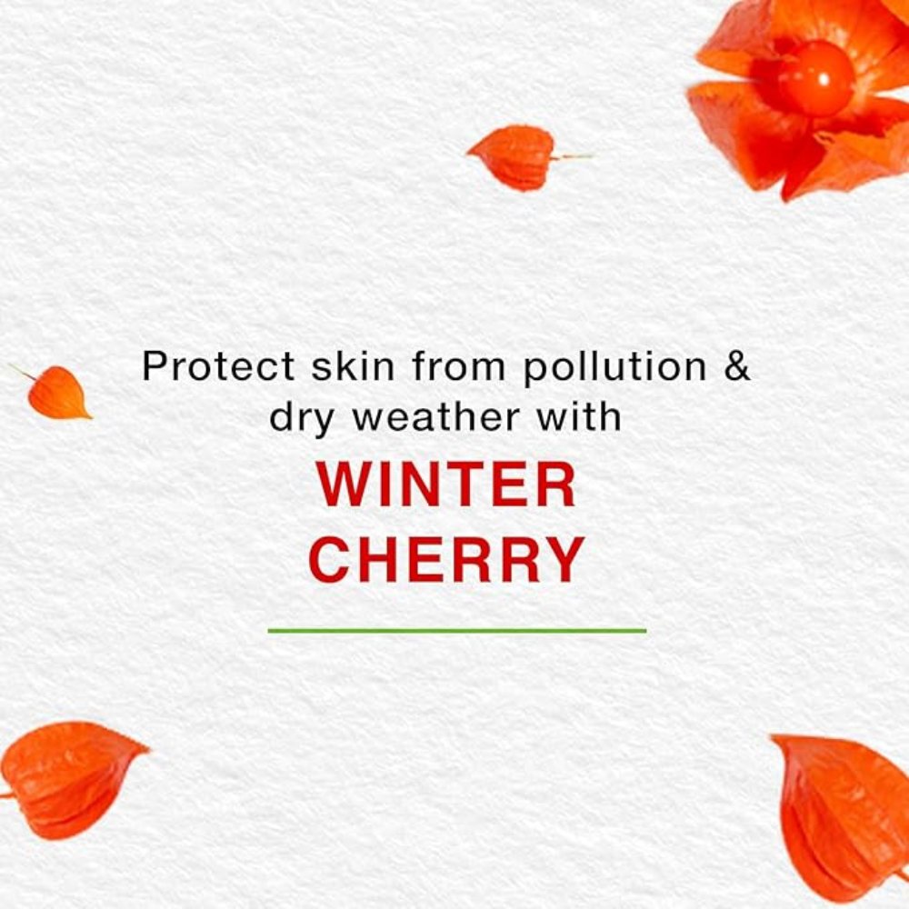 Himalaya Nourishing Skin Cream | Light & Non-Greasy Daily-Use Cream -150 + 150ml