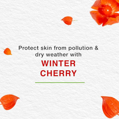 Himalaya Nourishing Skin Cream | Light & Non-Greasy Daily-Use Cream -150 + 150ml