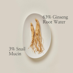 Beauty of Joseon Revive Serum : Ginseng + Snail Mucin 30ml